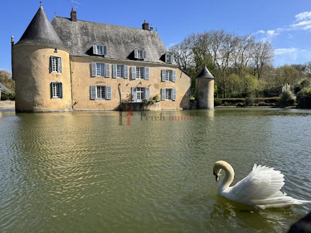 Vente Château 15 pièces 477.89 m2 Le Mans