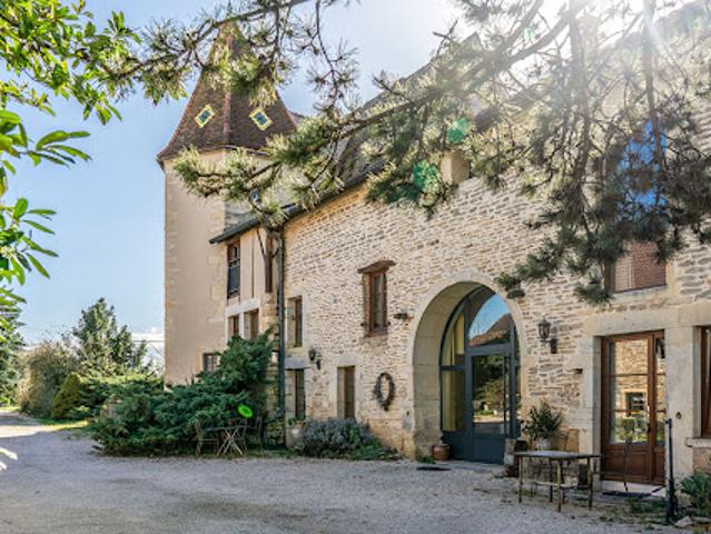 Vente Château 15 pièces 550 m2 Dijon