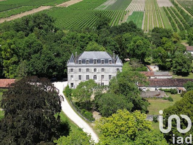 Vente Château 16 pièces 480 m2 Segonzac