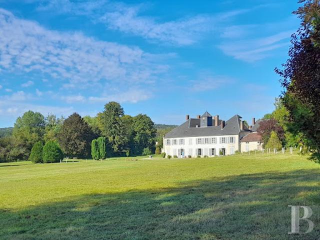 Vente Château 16 pièces 917 m2 Chaumont