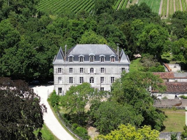 Vente Château 16 pièces