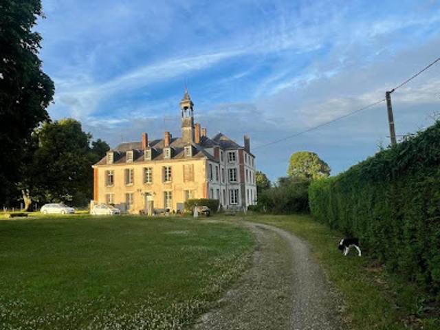 Vente Château 17 pièces 498 m2 Lavau