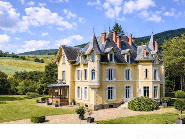 Vente Château 18 pièces 595 m2 Saint Julien Molin Molette