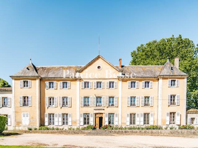 Vente Château 19 pièces 592 m2 Biziat