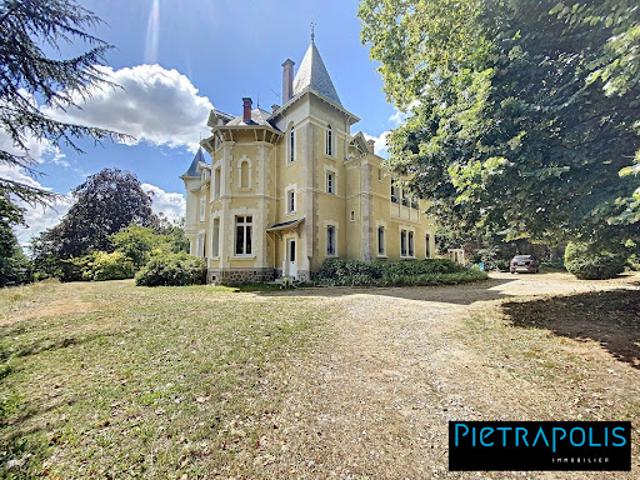 Vente Château 19 pièces 597 m2 Saint Julien Molin Molette