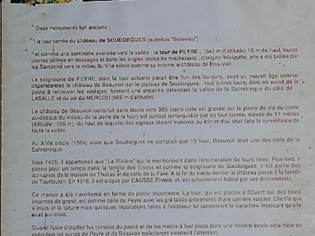 Vente Château 10 pièces 232 m2 Soudorgues