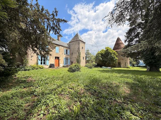 Vente Château 10 pièces 352 m2 Ygrande