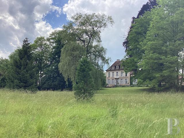 Vente Château 11 pièces 412 m2 Luxeuil les Bains