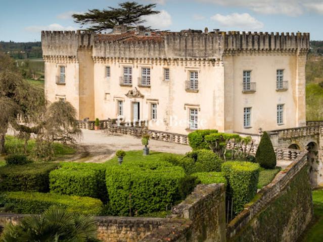 Vente Château 11 pièces 514 m2 Angouleme