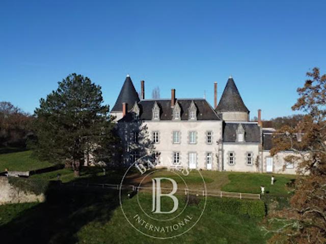 Vente Château 12 pièces 400 m2 Le Dorat