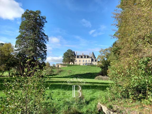 Vente Château 12 pièces 400 m2 Le Dorat