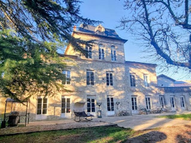 Vente Château 12 pièces 480 m2 Gasques
