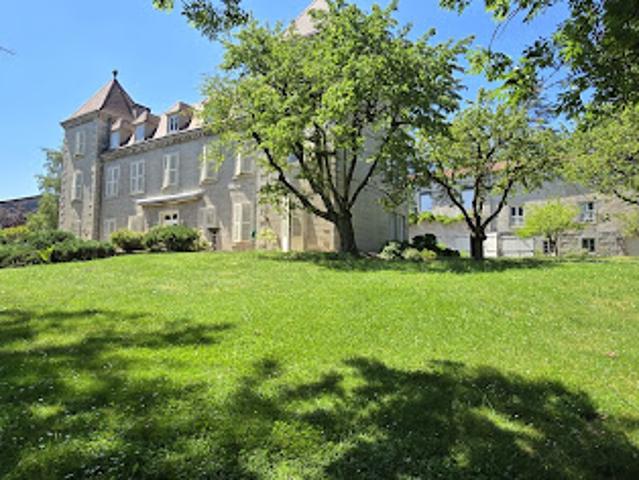 Vente Château 12 pièces 500 m2 La Talaudière