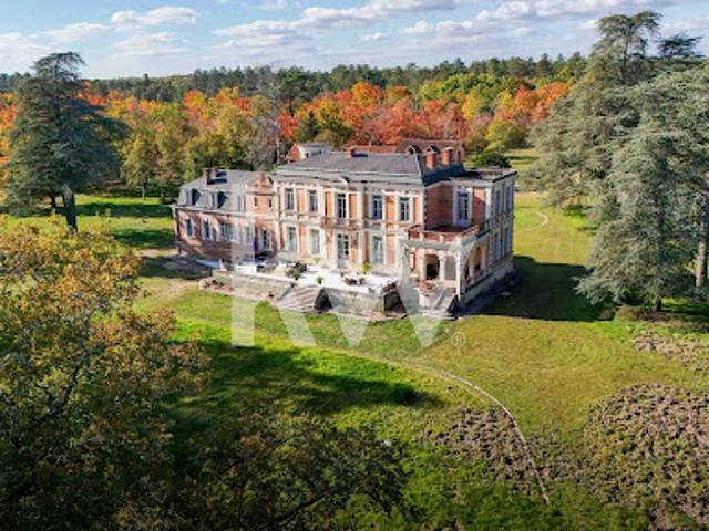 Vente Château 25 pièces 1125 m2 Salbris