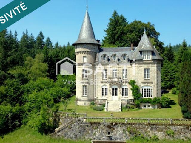 Vente Château 28 pièces 900 m2 Chaumeil