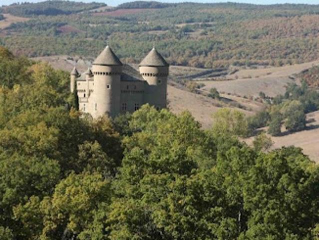 Vente Château 20 pièces 585 m2 Rivière sur Tarn