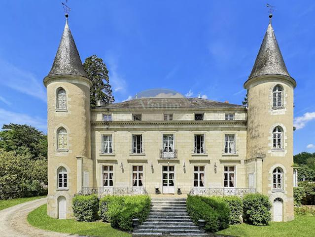 Vente Château 20 pièces 600 m2 La Roche Posay