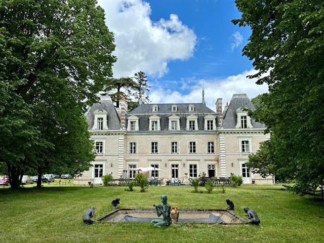 Vente Château 20 pièces 750 m2 Nouzilly
