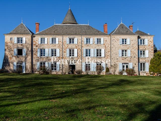 Vente Château 20 pièces 900 m2 Yssingeaux