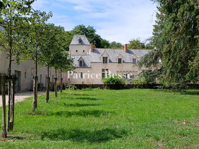 Vente Château 20 pièces 930 m2 Blois