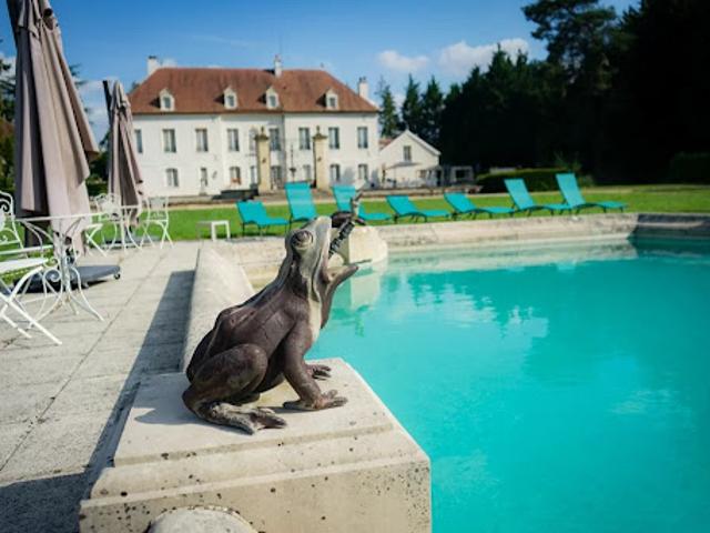 Vente Château 20 pièces 1242 m2 Chevannes