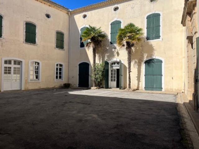 Vente Château 20 pièces 1300 m2 Puimisson