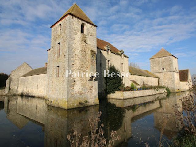 Vente Château 20 pièces 2300 m2 Bombon