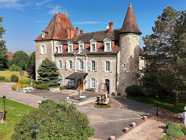 Vente Château 21 pièces 677 m2 Pagney