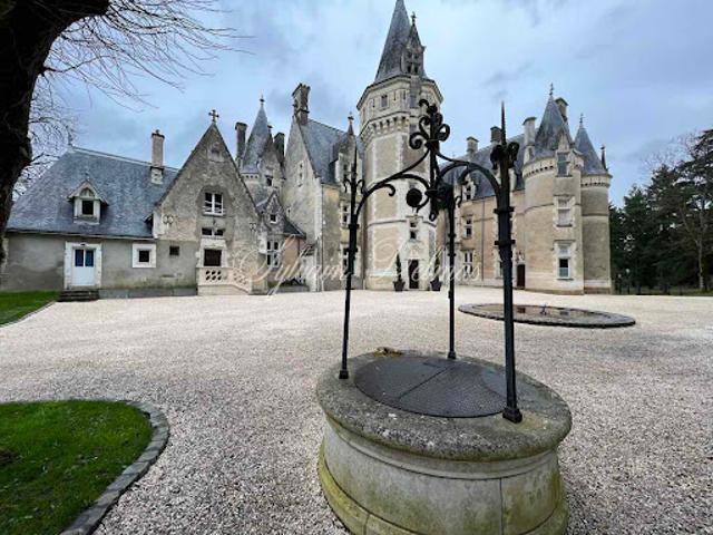 Vente Château 35 pièces 2000 m2 Tours