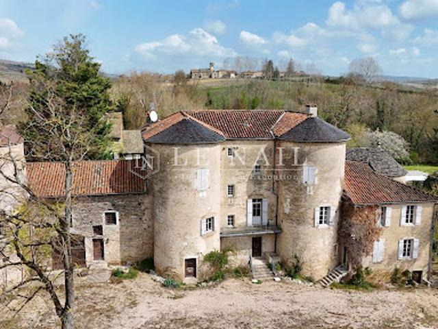 Vente Château 30 pièces 930 m2 Macon