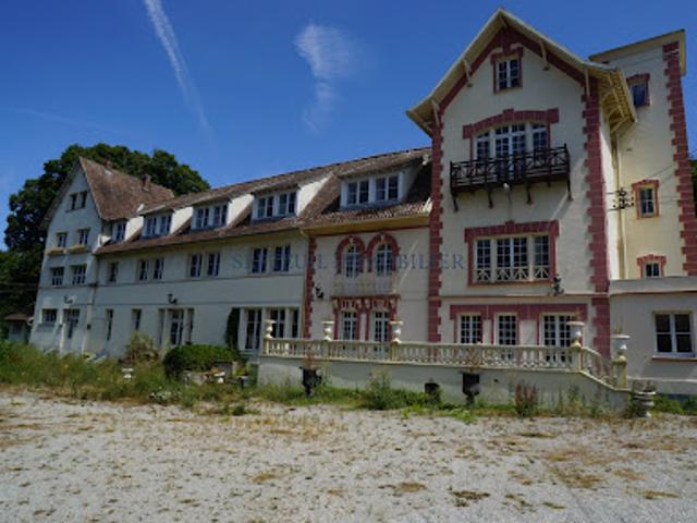 Vente Château 40 pièces 4000 m2 Thoiry