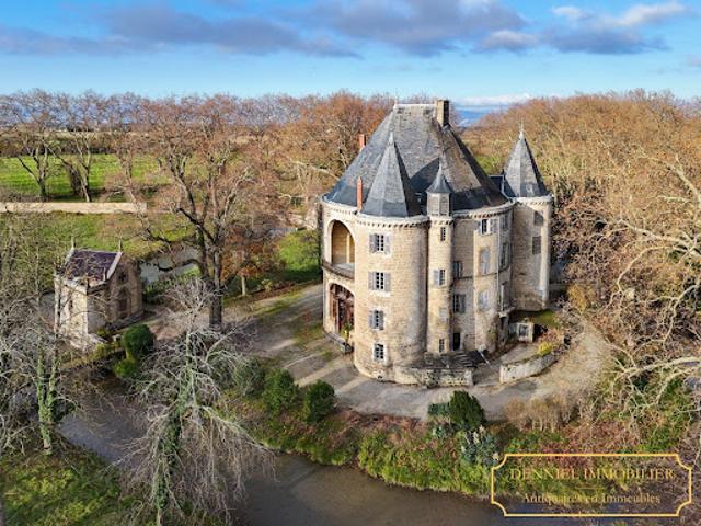 Vente Château 40 pièces 3000 m2 Valence
