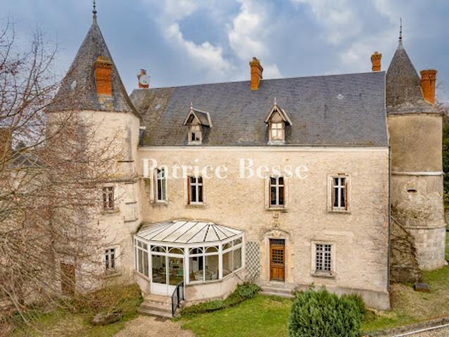 Vente Château 4 pièces 296 m2 Pussay