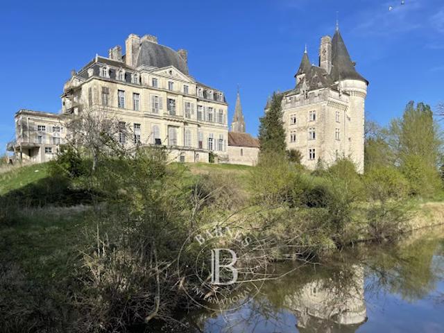 Vente Château 60 pièces 2500 m2 Loches