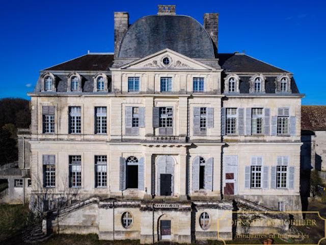 Vente Château 60 pièces 3000 m2 Loches