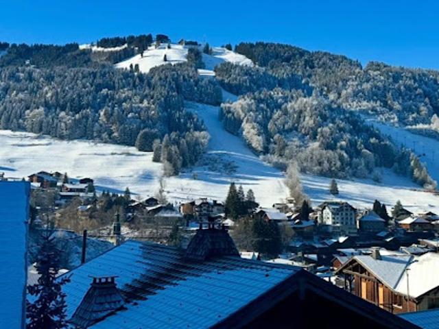 Vente Chalet 7 pièces 254 m2 Morzine