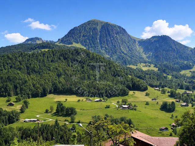 Vente Chalet 8 pièces 220 m2 Manigod