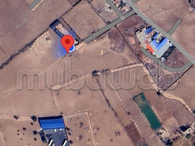 Vente de terrain à Lqliaa. Superficie 300 m²
