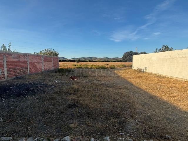 Vente de terrain à Mallalienne. Surface totale 300 m²