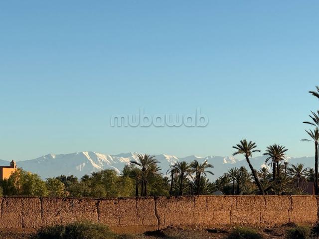 Vente de terrain à Marrakech. Surface totale * * m²