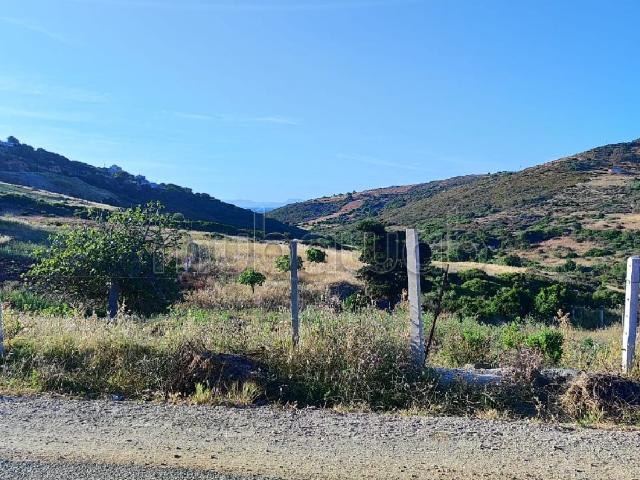 Vente de terrain à Sania. Surface totale 300 m²