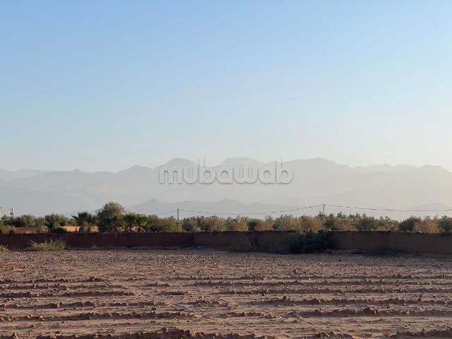 Vente de terrain à sidi Abdellah ghiate Surface de 2000 m²
