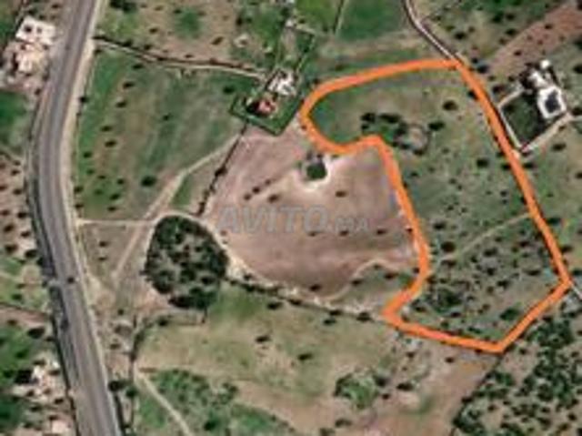 Vente de Terrain à proximité d'Essaouira 3,2 ha