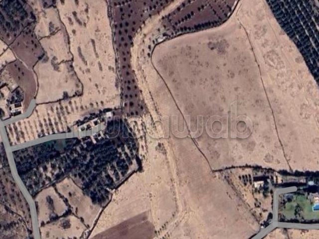 Vente de terrain TITRER 10ha KM14 Route d'amezmiz