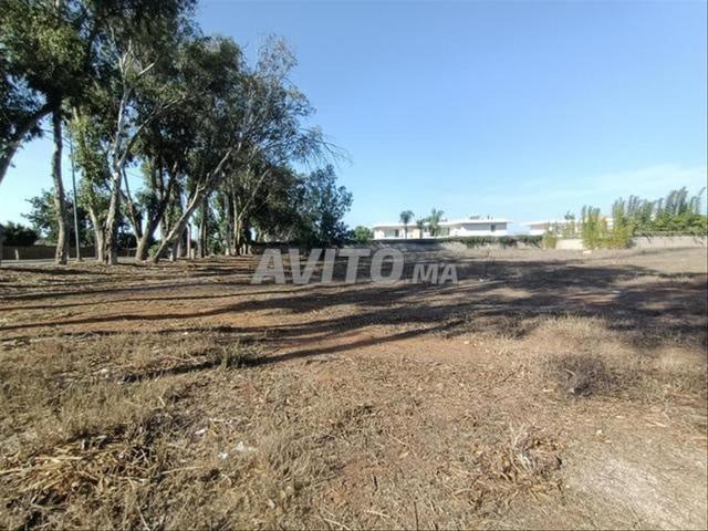 Vente de terrains titrés – Bir Jdid