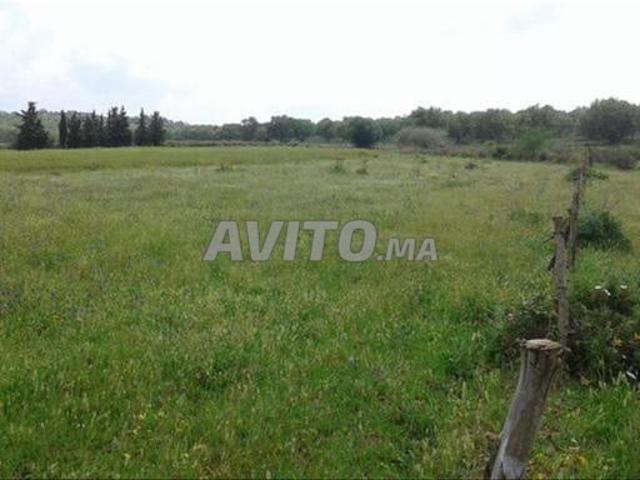 Vente de terrains titrés – Sidi Rahal, Bord de Mer