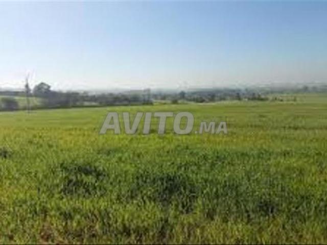 Vente de terrains conservés avec vue sur mer — Sidi Rahal
