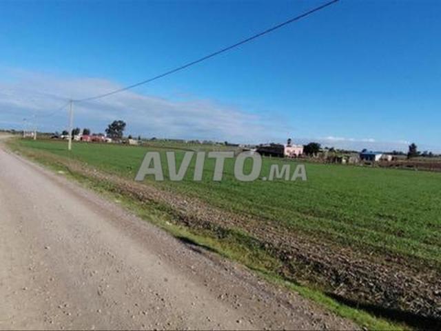 Vente de terrains conservés pour construction et investissement — Bir Jdid