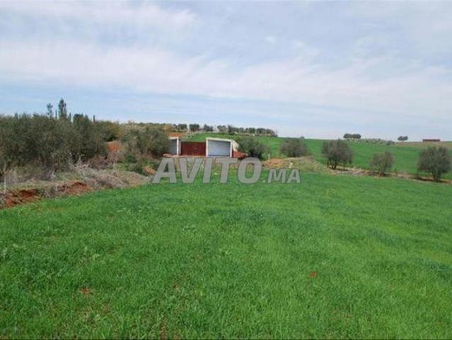 Vente de terrains conservés pour habitation et investissement Sidi Rahal