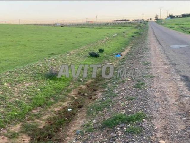 Vente de terrains conservés près de la plage de Sidi Rahal